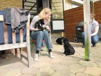 Img_006982