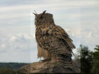Img_014196