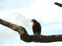 Img_014214