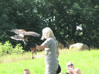 Img_014215