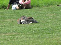 Img_014222