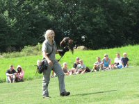 Img_014225