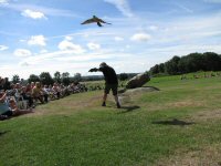 Img_014240