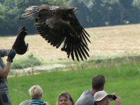 Img_014261