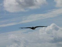 Img_014263