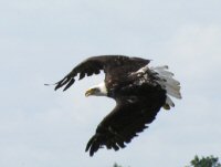 Img_014304