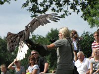 Img_014314