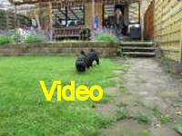 Mvi_006942