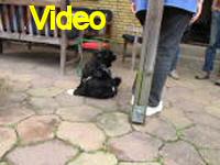 Mvi_006943