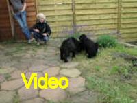 Mvi_006956