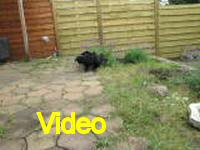 Mvi_006979