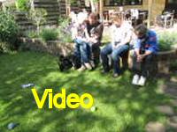 Mvi_007021
